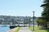 1/53 Boronia Road, Bellevue Hill, NSW 2023-Image