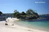 1/66  Middle Head Road, Mosman, NSW 2088-Image