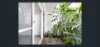 1/7a Palmer Lane, Darlinghurst, NSW 2010-Image