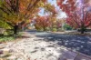 1/9 Wark Street, Hughes, ACT 2605-Image