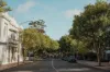 1/938 Military Road, Mosman, NSW 2088-Image