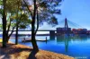 1/94 Forsyth Street, Glebe, NSW 2037-Image