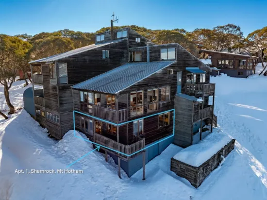 1 Shamrock, Mount Hotham, Vic 3741