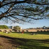 1 Stirling Street, Glebe, NSW 2037-Image