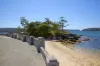 10/12 Punch Street, Mosman, NSW 2088-Image