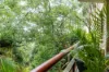 10/19-21 Hampden Avenue, Cremorne, NSW 2090-Image