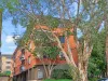 10/21 Prince Street, Randwick, NSW 2031-Image