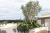 10/239 Ashmore Road, Benowa QLD 4217-Image