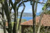 10/3-5 Hilltop Crescent, Fairlight, NSW 2094-Image
