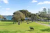 10/30 William Street, Double Bay, NSW 2028-Image