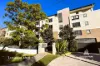 10/31-33 Millewa Avenue, Wahroonga, NSW 2076-Image