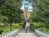 10/64-66 Australia Street, Camperdown, NSW 2050-Image