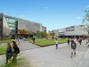 10/64-66 Australia Street, Camperdown, NSW 2050-Image