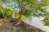 10/82 Sandford Street, St Lucia, Qld 4067-Image