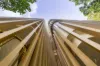 10 Cooper Street, Surry Hills, NSW 2010-Image