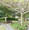 1003/33 Clark Street, Biggera Waters, Qld 4216-Image