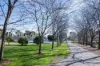 1003/36-46 High Street, Preston, Vic 3072-Image