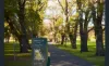 1005/480 St Kilda Road, Melbourne, Vic 3004-Image