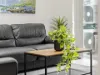 1005/8 Win Street, Eight Mile Plains, Qld 4113-Image