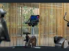 1008/20 Queens Rd, Melbourne, Vic 3004-Image