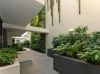 101/100 Glover Street, Mosman, NSW 2088-Image