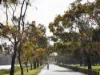 101/11 Bottleworks Walk, Geelong, Vic 3220-Image