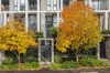 10105/2A Figtree Drive, Sydney Olympic Park, NSW 2127-Image