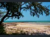 101d/65 Progress Drive, Nightcliff, NT 0810-Image