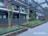 102/14 Hilly St, Mortlake, NSW 2137-Image