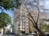 102/19 Tusculum Street, Potts Point, NSW 2011-Image