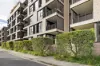 102/35B Upward Street, Leichhardt, NSW 2040-Image