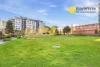 103/18 Gadigal Ave, Waterloo, NSW 2017-Image