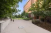 103/218 Flood Street, Leichhardt, NSW 2040-Image