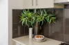103/22-24 Warayama Place, Rozelle, NSW 2039-Image