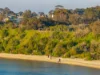 103/76 Beach Road, Sandringham, Vic 3191-Image