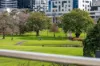 103/81 Thames Street, Box Hill VIC 3128-Image