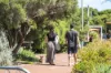 105/5 Cattalini Lane, North Fremantle, WA 6159-Image