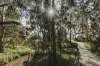106/27-29 Serpells Road, Templestowe, Vic 3106-Image