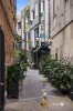 106/29 Robertson Street, Fortitude Valley, Qld 4006-Image