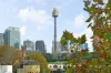 108/19-23 Forbes Street, Woolloomooloo, NSW 2011-Image