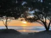 10D/3540 Main Beach Parade, Main Beach, Qld 4217-Image