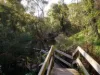 11/13 Cliff Road, Frankston, Vic 3199-Image