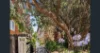 11/16 Cromwell Road, South Yarra, Vic 3141-Image