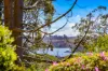 11/177 Bellevue Road, Bellevue Hill, NSW 2023-Image