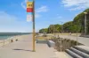 11/178 Chuter Avenue, Sans Souci, NSW 2219-Image