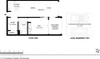 11/18 Market Street, Rockdale, NSW 2216-Floorplan