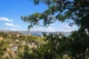11/197 Walker Street, North Sydney NSW 2060-Image
