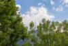 11/20 Moore Street, Turner, ACT 2612-Image