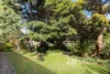 11/20 Shirley Grove, St Kilda East, Vic 3183-Image