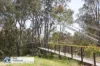 11/22-36 Anderson Street, Templestowe, Vic 3106-Image